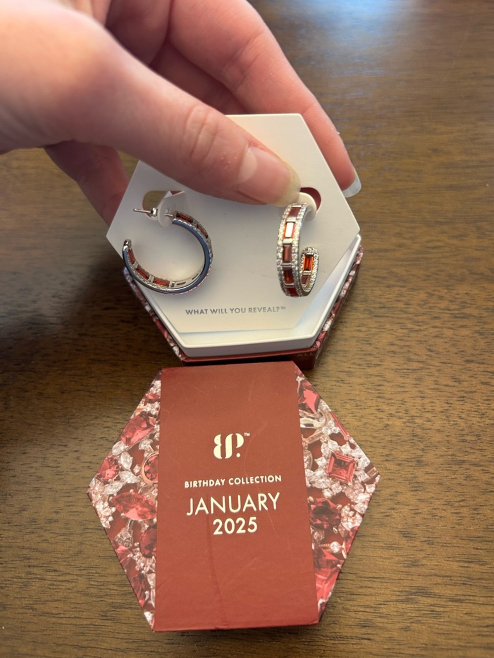 Bomb Party January 2025 Hoops RBP8588 Found Your Love Garnet on .925 Silver